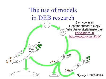 The use of models in DEB research Bas Kooijman Dept theoretical biology Vrije Universiteit Amsterdam