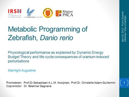 Metabolic Programming of Zebrafish, Danio rerio Physiological performance as explained by Dynamic Energy Budget Theory and life-cycle consequences of uranium.