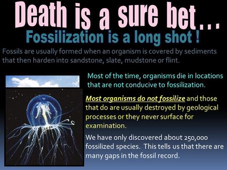Fossilization is a long shot !
