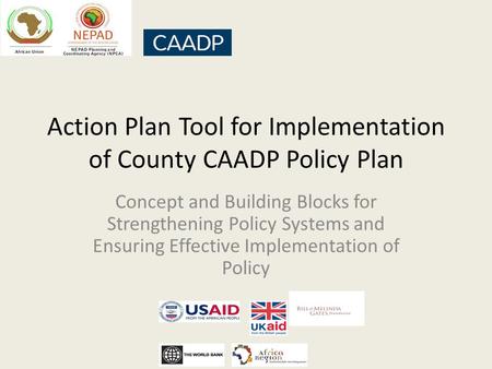 Action Plan Tool for Implementation of County CAADP Policy Plan Concept and Building Blocks for Strengthening Policy Systems and Ensuring Effective Implementation.
