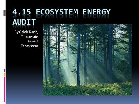 4.15 Ecosystem Energy Audit