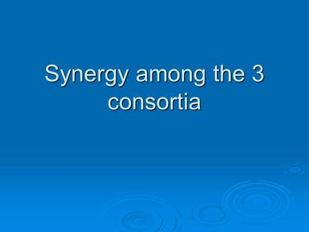 Synergy among the 3 consortia. The Goal & Strategy  Improving process of work (between GHI’s and national HS) and thus contribution/outcome to national.
