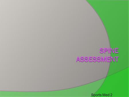 Spine Assessment Sports Med 2.