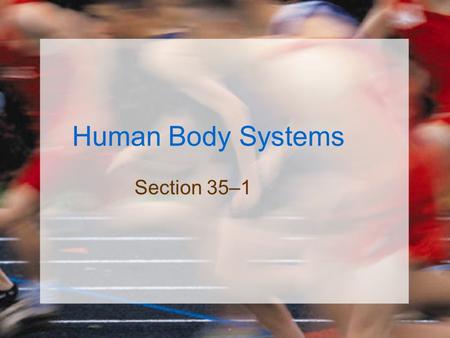 Human Body Systems Section 35–1.