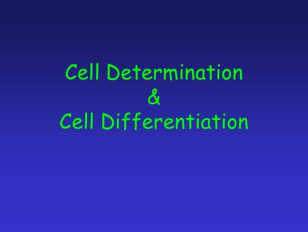 Cell Determination & Cell Differentiation