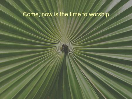 Come, now is the time to worship. Come, now is the time to worship Come, now is the time to give your heart Come, just as you are to worship Come, just.