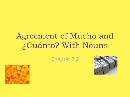 Agreement of Mucho and ¿Cuánto? With Nouns