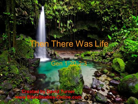 Then There Was Life Gen 1:20-2:3 Created by David Turner www.BibleStudies-Online.com.