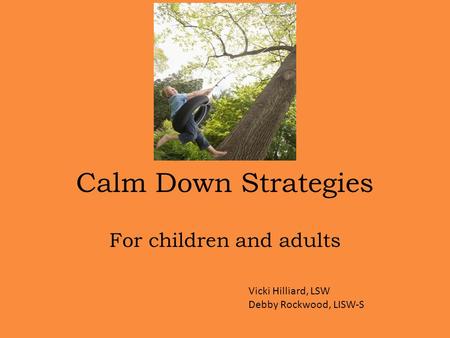 Calm Down Strategies For children and adults Vicki Hilliard, LSW Debby Rockwood, LISW-S.