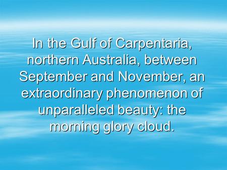In the Gulf of Carpentaria, northern Australia, between September and November, an extraordinary phenomenon of unparalleled beauty: the morning glory.
