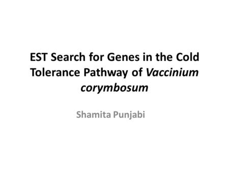 EST Search for Genes in the Cold Tolerance Pathway of Vaccinium corymbosum Shamita Punjabi.