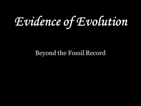 Beyond the Fossil Record