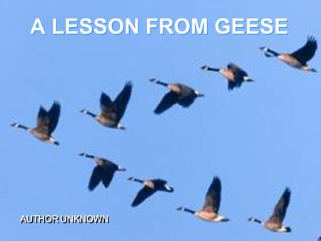 A LESSON FROM GEESE AUTHOR UNKNOWN. Have you ever wondered why migrating geese fly in a V formation? As with most animal behavior, God had a good reason.