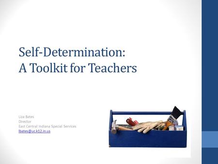 Self-Determination: A Toolkit for Teachers