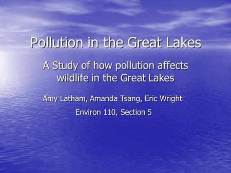Pollution in the Great Lakes A Study of how pollution affects wildlife in the Great Lakes Amy Latham, Amanda Tsang, Eric Wright Environ 110, Section 5.