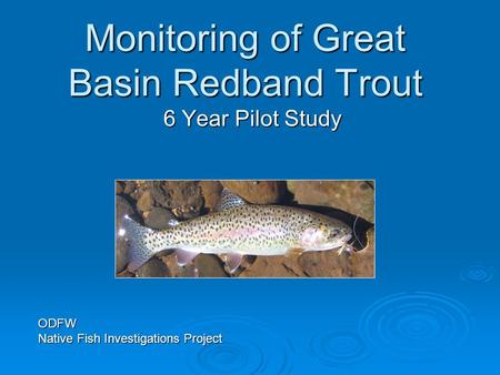 Monitoring of Great Basin Redband Trout 6 Year Pilot Study ODFW Native Fish Investigations Project.