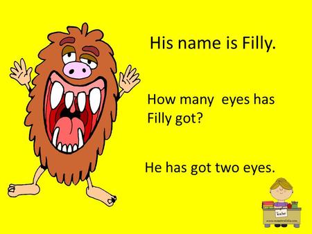 His name is Filly. How many eyes has Filly got? He has got two eyes.