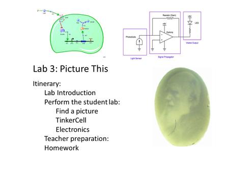 Lab 3: Picture This Itinerary: Lab Introduction Perform the student lab: Find a picture TinkerCell Electronics Teacher preparation: Homework.