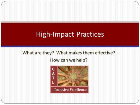 What are they? What makes them effective? How can we help? High-Impact Practices.