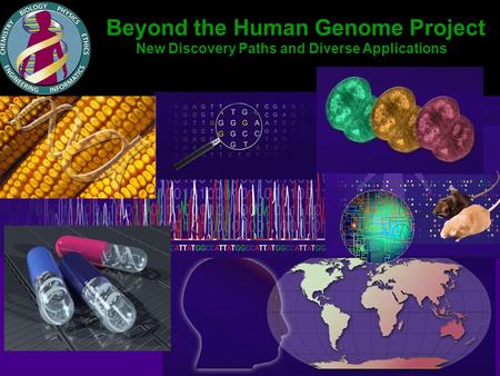 Beyond the Human Genome Project New Discovery Paths and Diverse Applications.