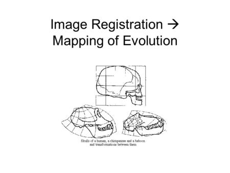 Image Registration  Mapping of Evolution. Registration Goals Assume the correspondences are known Find such f() and g() such that the images are best.