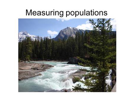 Measuring populations. Measuring populations - sampling Usually use transect or quadrat to sample Count number of organisms per sample area, then calculate.