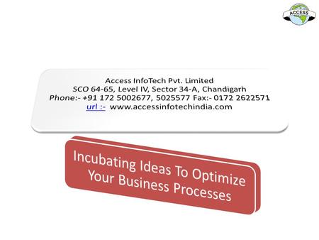 Incubating Ideas To Optimize Your Business Processes