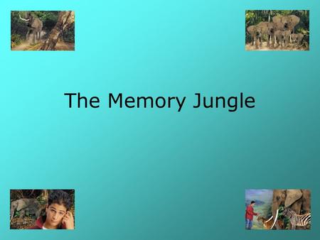 The Memory Jungle.