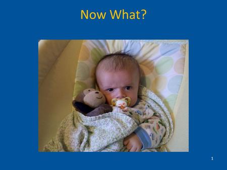 Now What? 1. TEDS Study Translating Evidence-Based Developmental Screening (TEDS) into Pediatric Primary Care –December 2008 through June 2010 –CDC-funded.