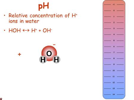 PH Relative concentration of H + ions in water HOH ↔ H + + OH - O HH + - ------- -1 ------- ------- 0 ------- ------- 1 ------- ------- 2 ------- -------