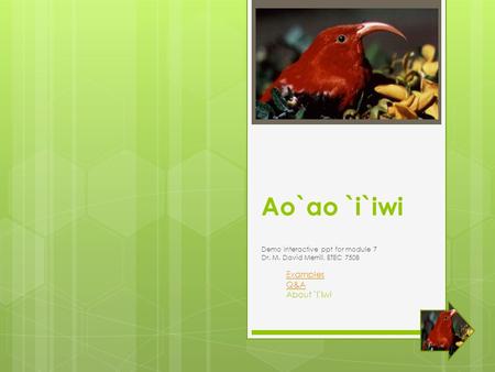 Ao`ao `i`iwi Demo interactive ppt for module 7 Dr. M. David Merrill, ETEC 750B Examples Q&A About `i`iwi.