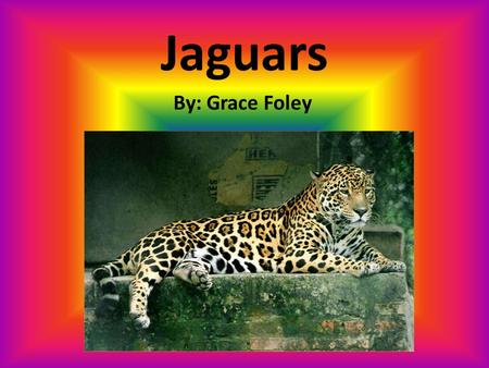 Jaguars By: Grace Foley. Diet  Jaguars hunt different kinds of prey.  The animals they hunt are:  Monkeys,  Turtles,  Armadillos,  Deer,  Frogs,
