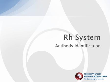 Antibody Identification