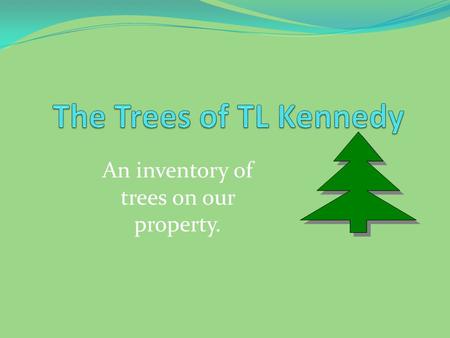An inventory of trees on our property.. Deciduous Forest Deciduous trees have leaves and they lose their leaves in the winter.