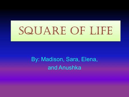 Square of Life By: Madison, Sara, Elena, and Anushka.