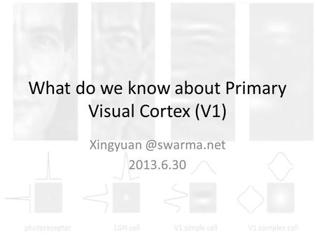 What do we know about Primary Visual Cortex (V1) 2013.6.30.