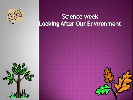 Main Ideas This year’s theme for science week is our environment. Your teachers have planned a range of exciting activities that will happen during school.