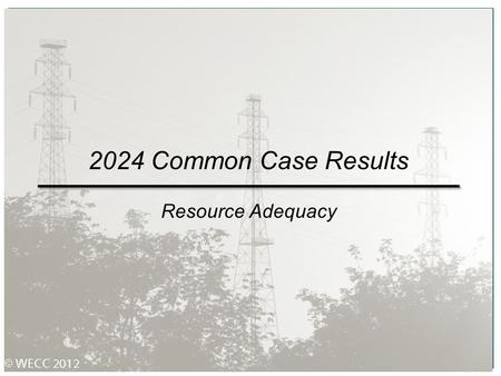 2024 Common Case Results Resource Adequacy.