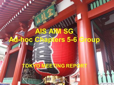 AIS AIM SG Ad-hoc Chapters 5-6 Group TOKYO MEETING REPORT.