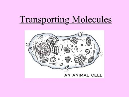 Transporting Molecules. CELL MEMBRANE (also called plasma membrane) Cell membranes are made of ________________ & __________________ PHOSPHOLIPIDS PROTEINS.