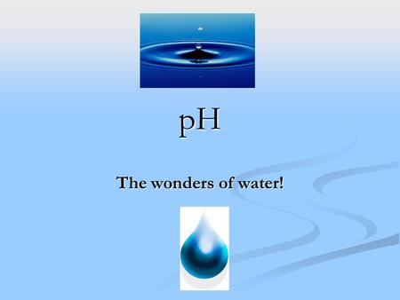 PH The wonders of water!. Acids Any compound that GIVES OFF H+ ions in solution Any compound that GIVES OFF H+ ions in solution Ex. HCl H+ and Cl- Ex.