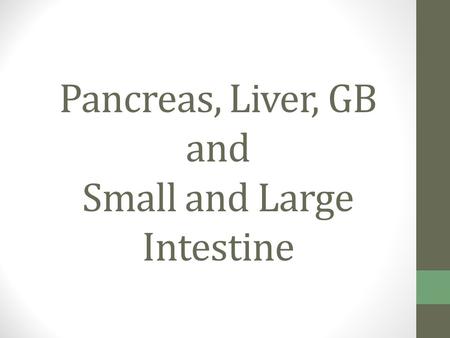 Pancreas, Liver, GB and Small and Large Intestine