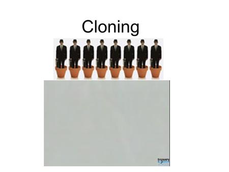 Cloning. 3 Types of Cloning Transgenic (gene) cloning Therapeutic (stem cell) cloning Reproductive (organism) cloning)