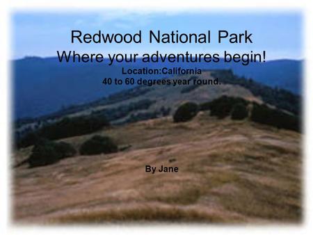 Redwood National Park Where your adventures begin! Location:California 40 to 60 degrees year round. By Jane.
