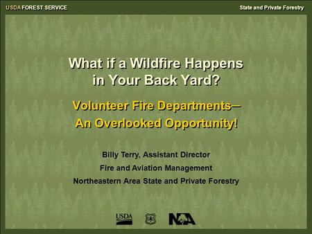 USDA FOREST SERVICEState and Private Forestry What if a Wildfire Happens in Your Back Yard? Volunteer Fire Departments─ An Overlooked Opportunity! Volunteer.