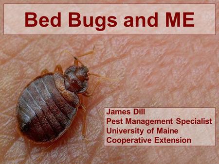 Bed Bugs and ME James Dill Pest Management Specialist University of Maine Cooperative Extension.