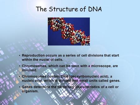 The Structure of DNA Reproduction occurs as a series of cell divisions that start within the nuclei of cells. Chromosomes, which can be seen with a microscope,