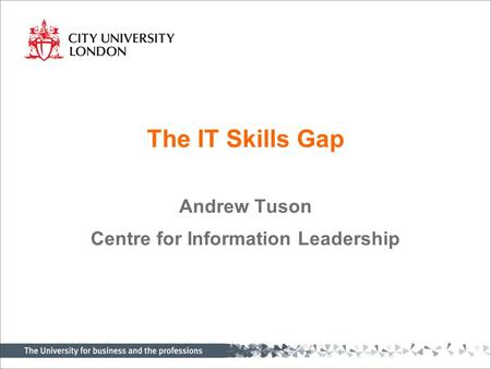 The IT Skills Gap Andrew Tuson Centre for Information Leadership.