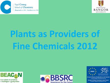 Plants as Providers of Fine Chemicals 2012. Plant ProcessProducts ?
