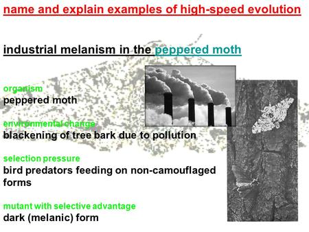 Name and explain examples of high-speed evolution industrial melanism in the peppered mothpeppered moth organism peppered moth environmental change blackening.